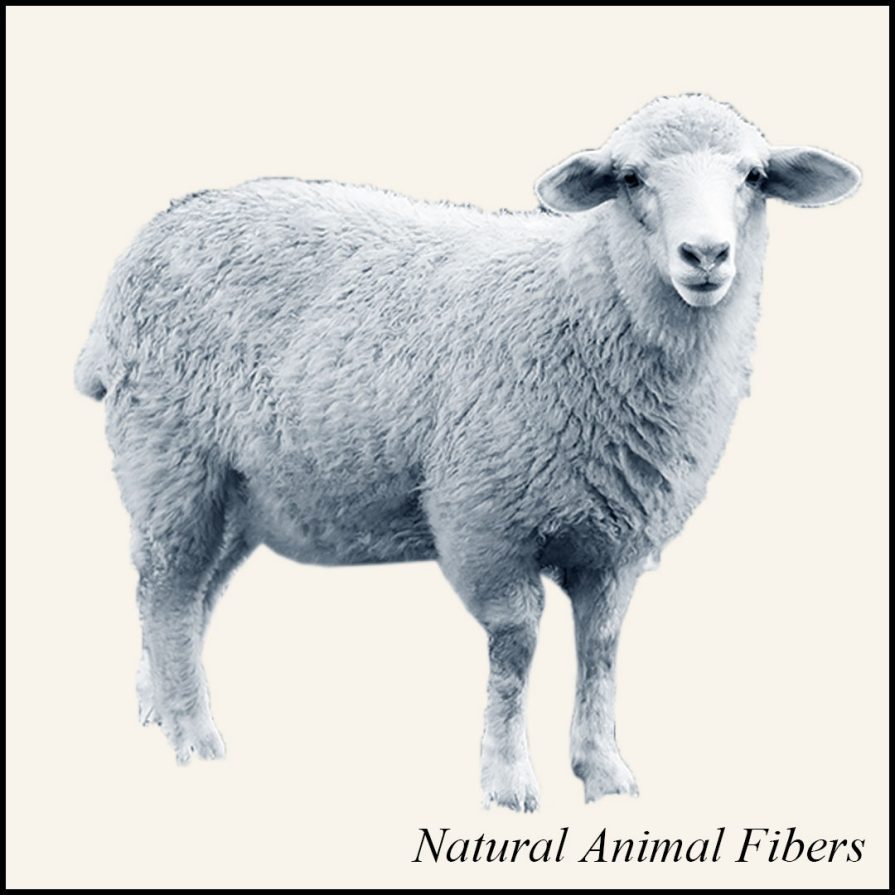 Natural Animal Fibers