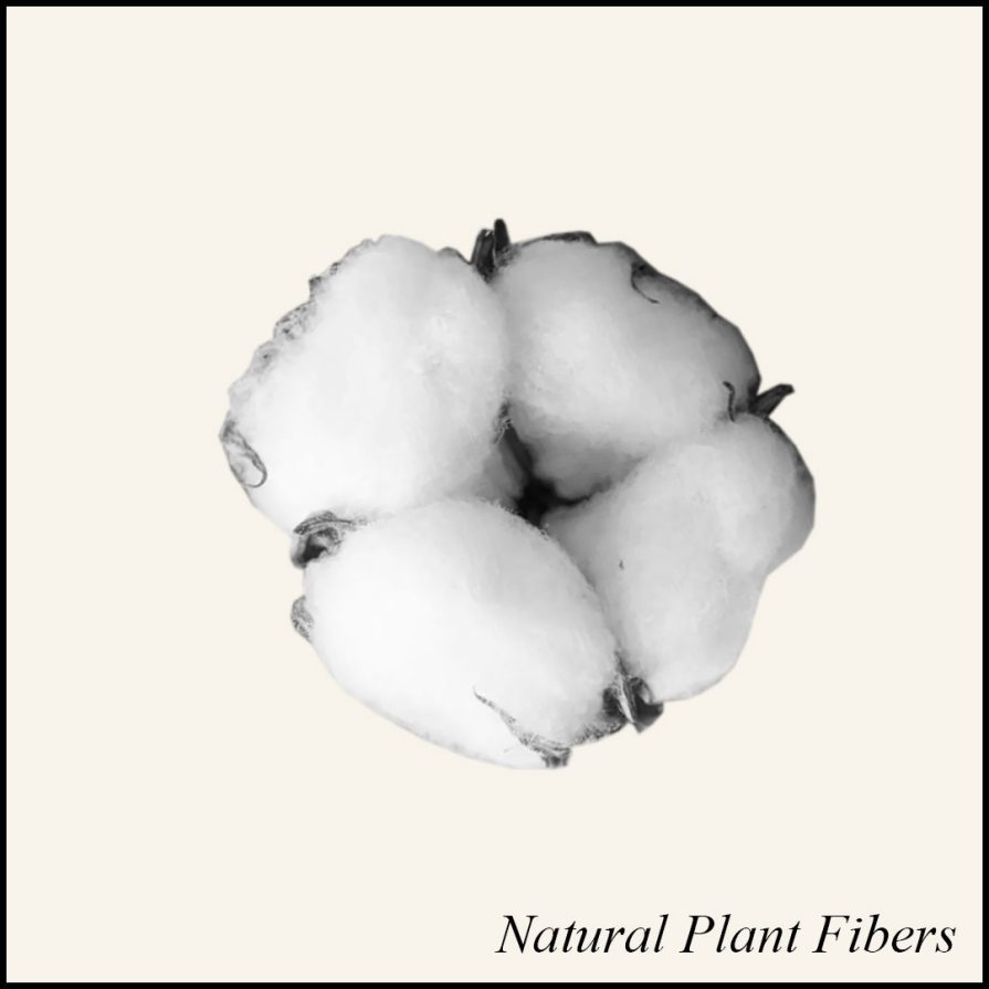 Natural Plant Fibers